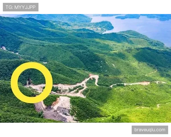非法掩护属于违例还是犯规？规则解析一次说清